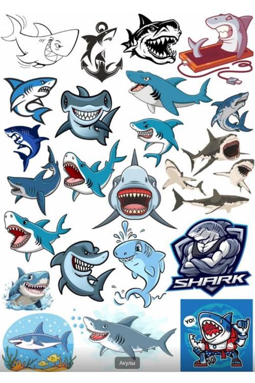 Köpek Balığı Sticker Set 1