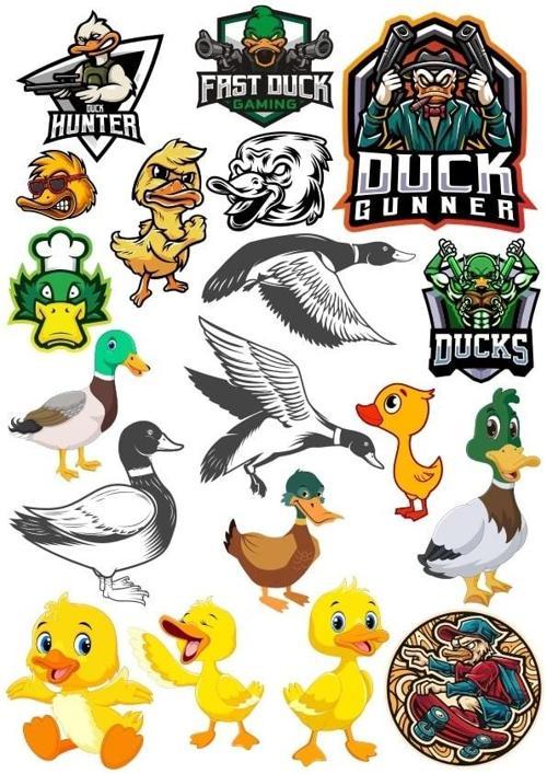 Ördek Sticker Set 17 Parça Telefon, Tablet, Defter, Laptop Sticker