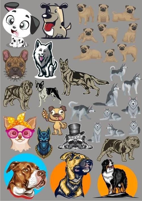 Köpekler Sticker Set-16 19 Parça Telefon, Tablet, Defter, Laptop Sticker