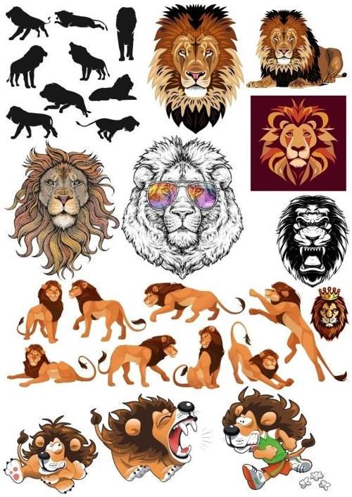 Aslan Sticker Set 8 25 Parça Telefon, Tablet, Defter, Laptop Sticker