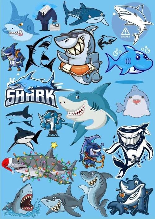 Köpek Balığı Sticker Set 16 Parça Telefon, Tablet, Defter, Laptop Sticker