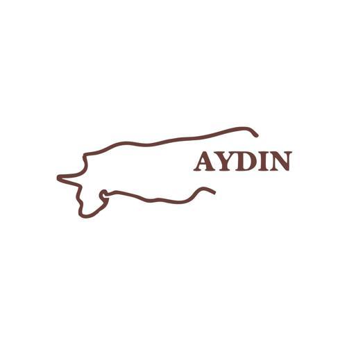 Aydın Harita Araba Sticker 17x17 Cm Kahverengi