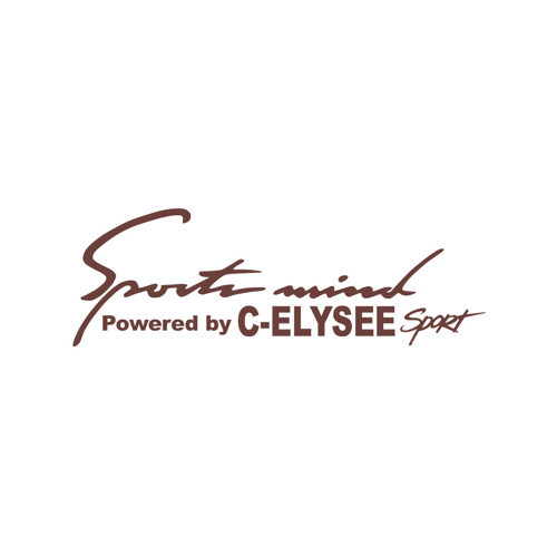 Sports Mind CITROEN C-ELYSE ESports Sticker 17x17 Cm Kahverengi