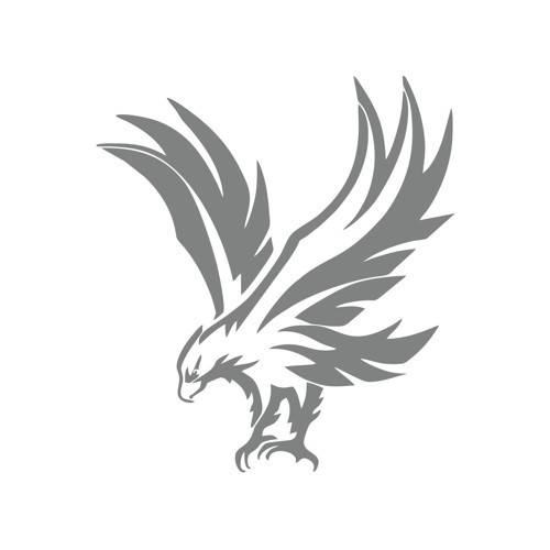Kartal Araba Sticker 17x17 Cm Gri