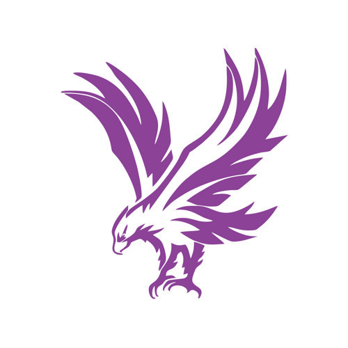Kartal Araba Sticker 17x17 Cm Mor