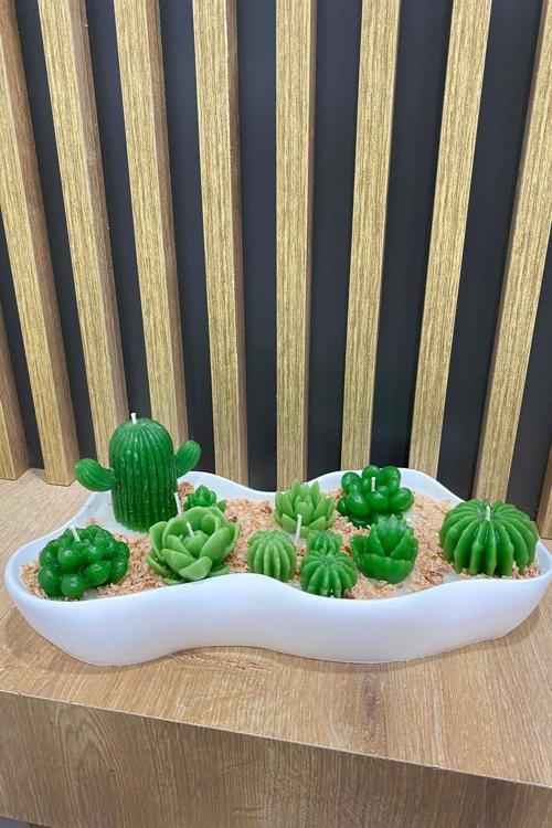 Dekoratif Asimetrik Kasede Kaktüs-Succulent Kokulu Mum