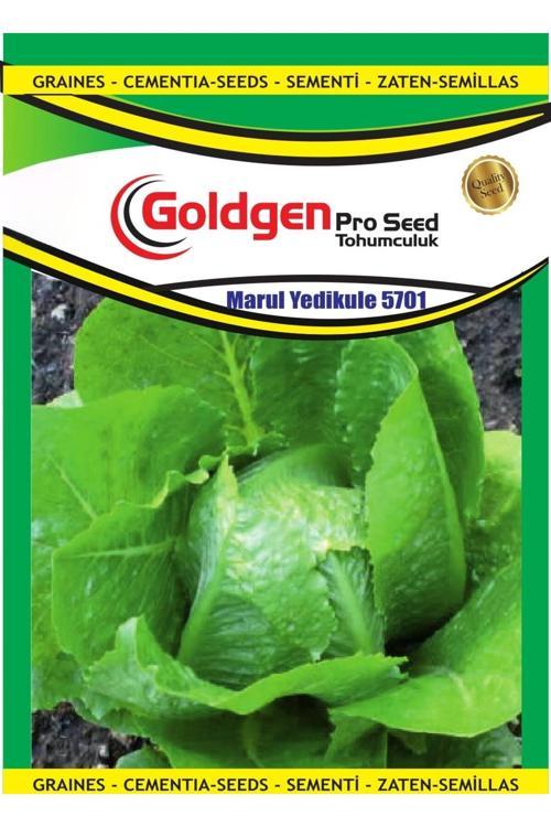 Marul(Yedikule) Tohumu 2 Paket