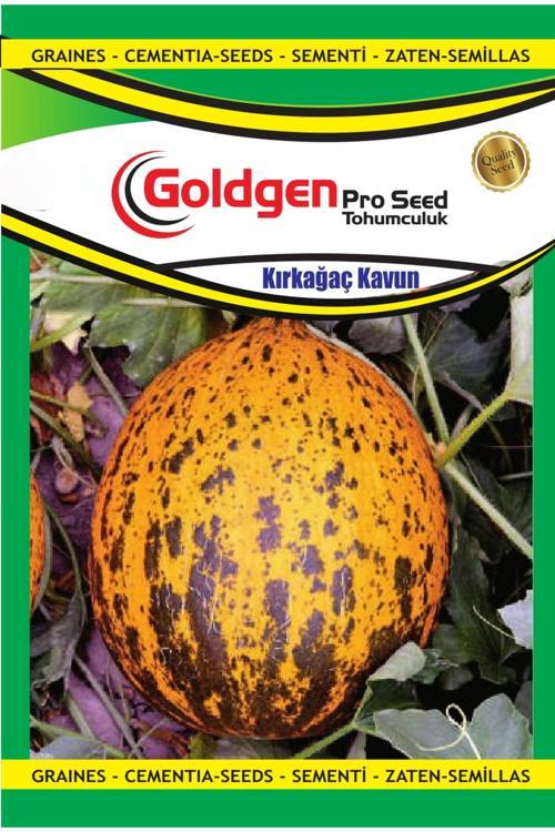 Kırkağaç Kavun Tohumu