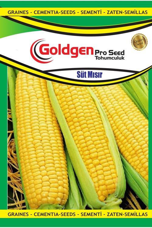 Süt Mısır Tohumu
