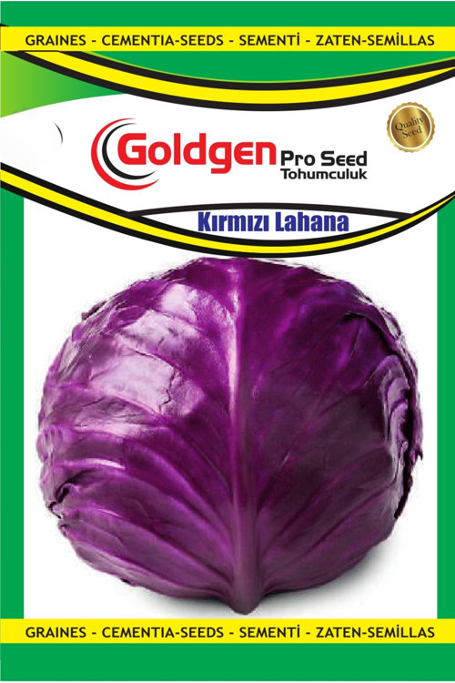 Kırmızı Lahana Tohumu