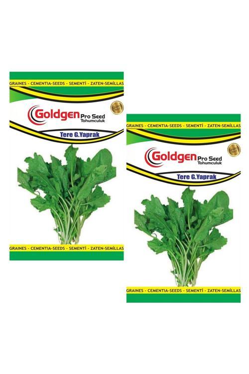 Tere Tohumu (Geniş Yaprak) 2 Paket