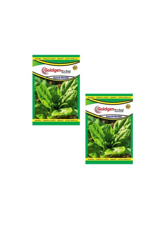 Ispanak Tohumu (Matador) 2 Paket