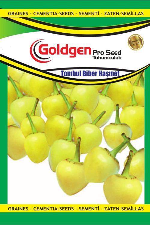 Tombul Biber (Haşmet) Tohumu