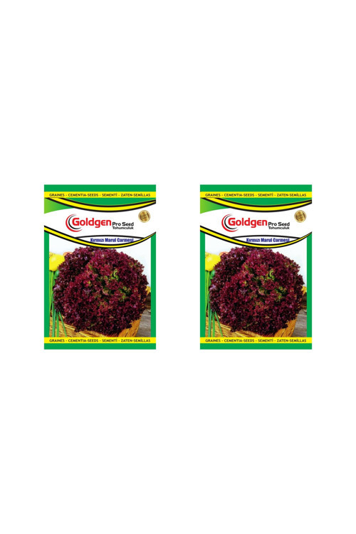 Kırmızı Marul Carmesi 2 Paket