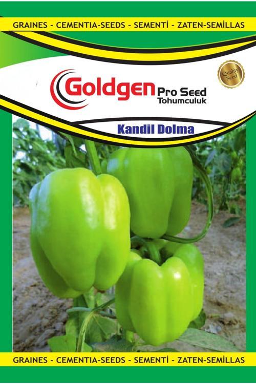 Kandil Dolmalık Biber Tohumu
