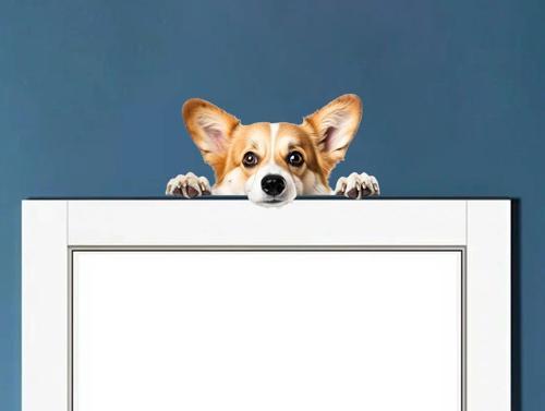 Corgi Yavrusu Duvar Stickerı