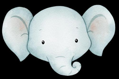 Fil Kafası Duvar Stickerı