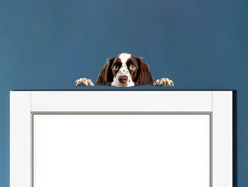Kahverengi Beyaz Benekli Uzun Tüylü Springer Spaniel Köpek Duvar Sticker'ı