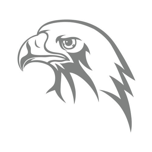 Kartal Kafası Sticker 17x17 Cm Gri