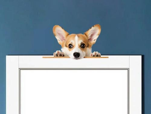 Rottweiler Yavrusu Duvar Stickerı