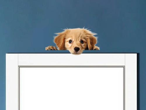 Sarı Yavru Köpek Duvar Sticker'ı