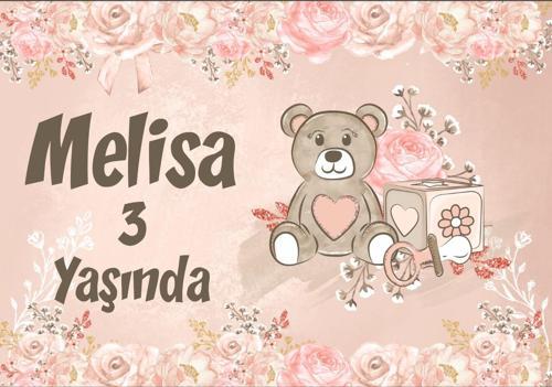 Pembe Ayıcık Temalı Doğum Günü Afişi - 35x50 Cm