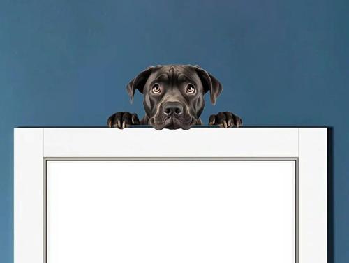 Siyah Cane Corso Köpek Duvar Sticker'ı