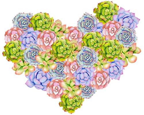 Sukulentlerden Oluşan Kalp Şekli