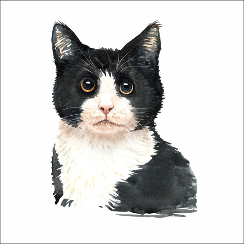 Sevimli Kedi Sticker 4