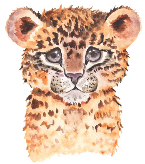 Yavru Leopar Portresi