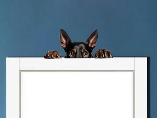 Yorkshire Terrier Duvar Stickerı