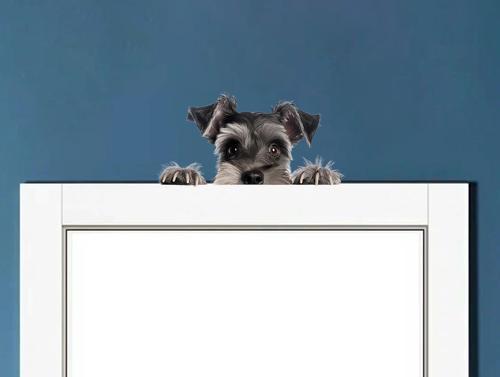 Siyah ve Bronz Köpek Duvar Stickerı