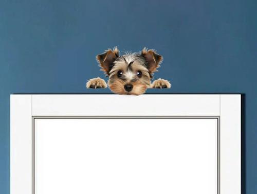 Shih Tzu Duvar Stickerı