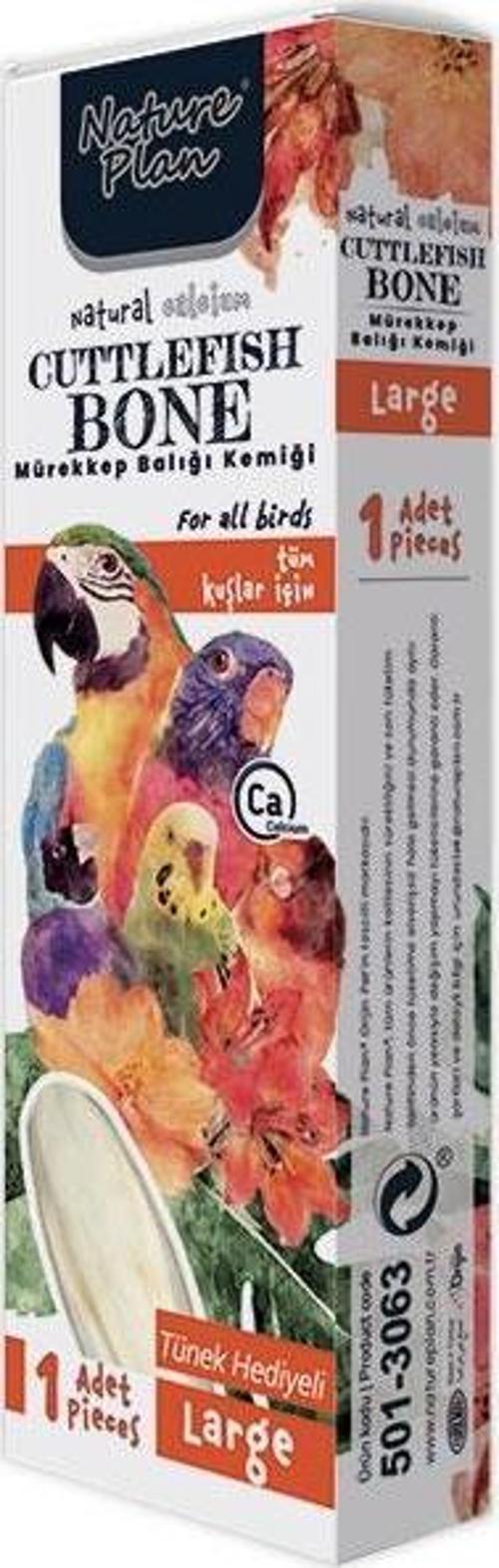 Mürekkep Balığı Kemiği Large