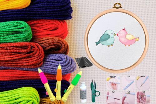 Seti Nakış Seti Kasnaklı Kendin Yap Seti Seri 29