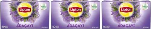 Adaçayı 20 X 3