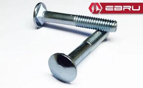 Ebru Kasa Civata 1/4x30 - 20 Adet