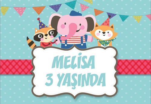 Sevimli Hayvanlar Temalı Doğum Günü Afişi - 35x50 Cm