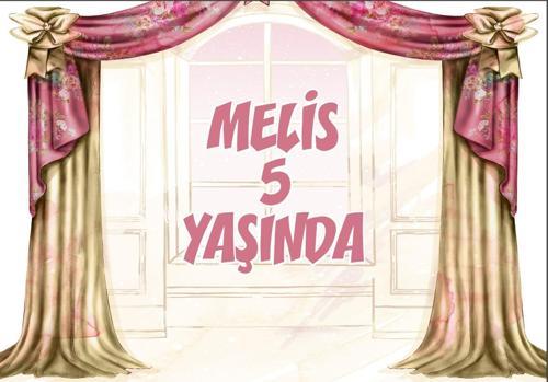 Sahyne Temalı Doğum Günü Afişi - 70x100 Cm