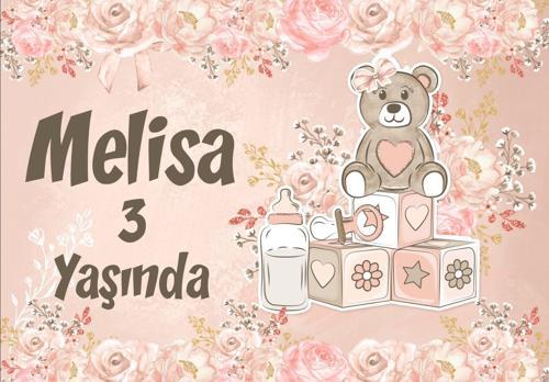 Pembe Ayıcık Temalı Doğum Günü Afişi - 50x70 Cm