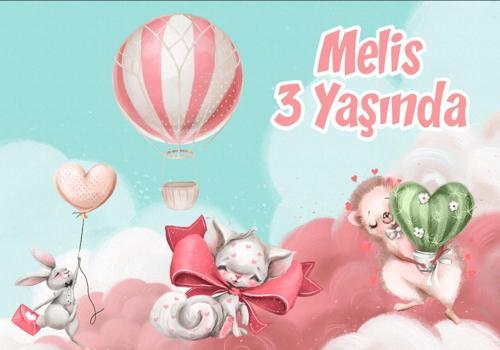 Sevimli Hayvanlar Temalı Doğum Günü Afişi - 70x100 Cm