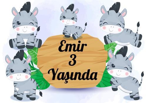 Zebra Temalı Doğum Günü Afişi - 100x150 Cm