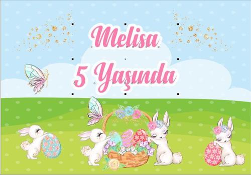 Tavşan Temalı Doğum Günü Afişi - 100x150 Cm