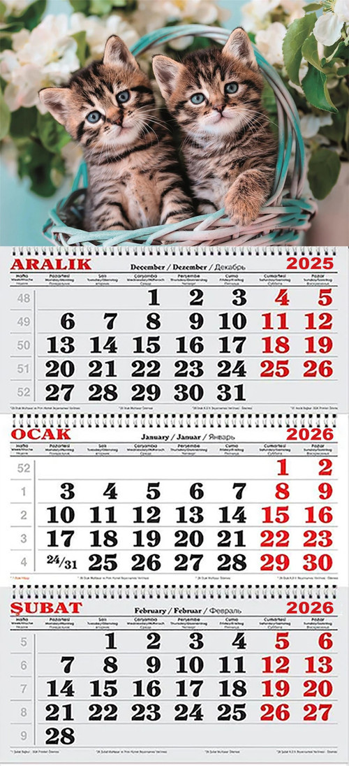 2026 Yılı Gemici Takvimi- Yavru Kediler