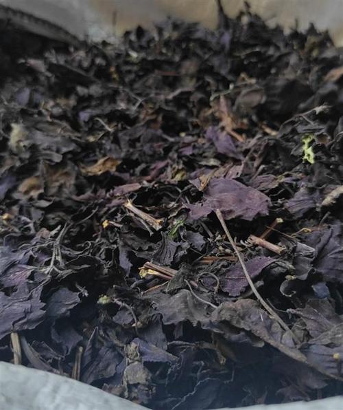 Mor Reyhan Yerli Yaprak