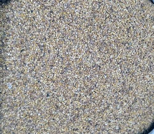 Susam Kabuklu- Susam