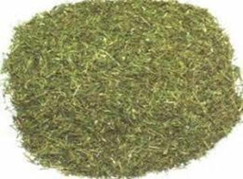 Dereotu Kurusu Yaprak Mısır Menşei