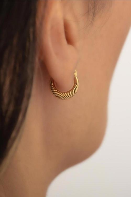 Altın Mini Midye Küpe