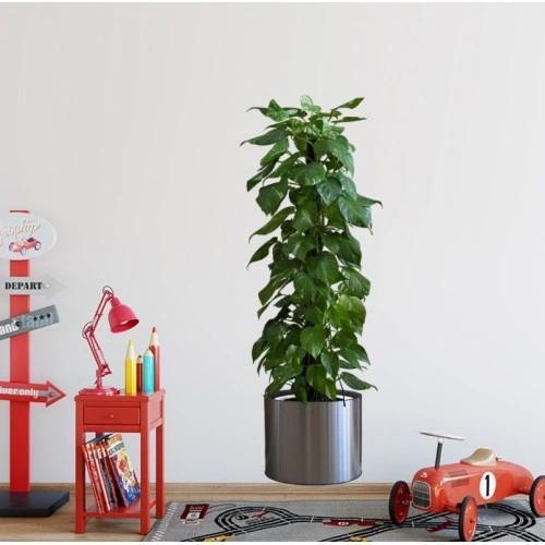 Saksılı Bitki Tasarımlı Yapışkanlı Sticker Resim 90*30 Cm