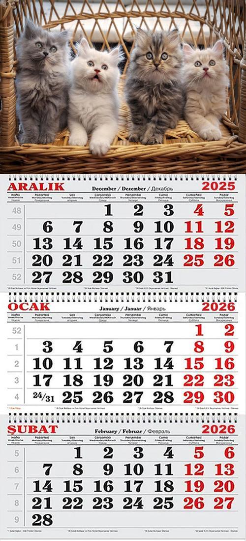 2026 Yılı Gemici Takvimi-Yavru Kediler